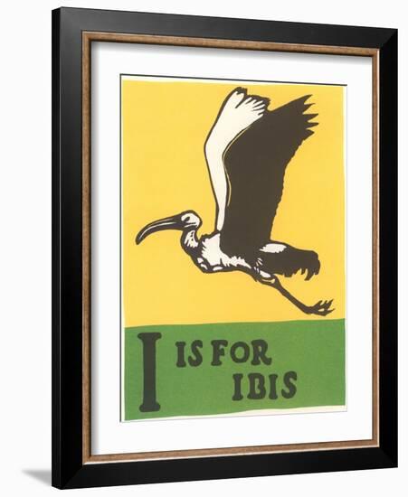 I is for Ibis-null-Framed Art Print