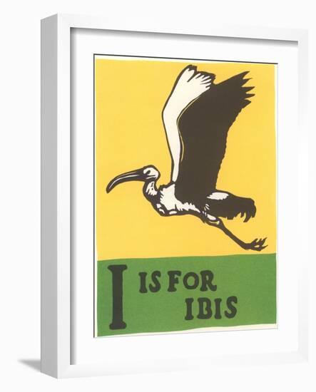 I is for Ibis-null-Framed Art Print