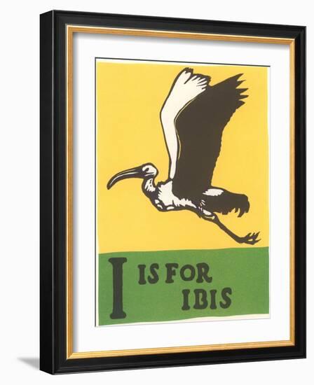 I is for Ibis-null-Framed Art Print
