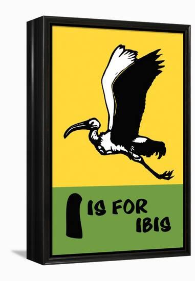 I is for Ibis-Charles Buckles Falls-Framed Stretched Canvas