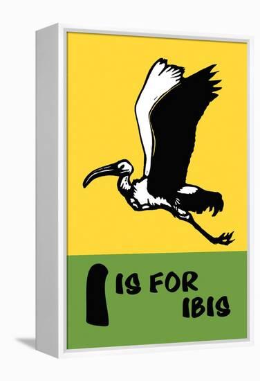 I is for Ibis-Charles Buckles Falls-Framed Stretched Canvas