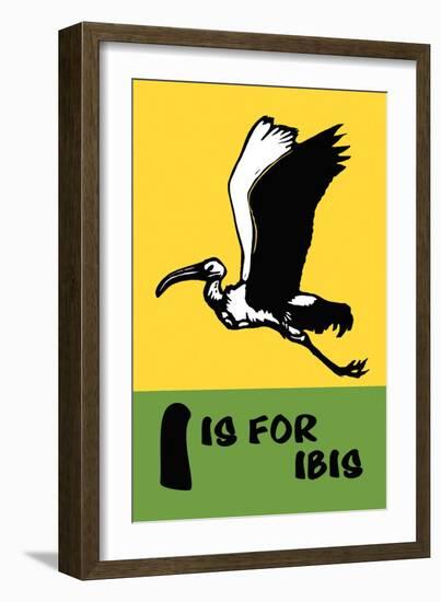 I is for Ibis-Charles Buckles Falls-Framed Premium Giclee Print