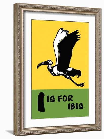 I is for Ibis-Charles Buckles Falls-Framed Art Print