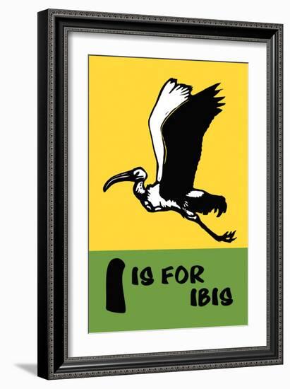 I is for Ibis-Charles Buckles Falls-Framed Art Print