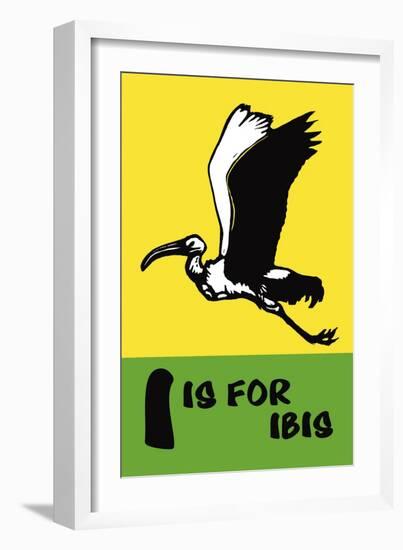 I is for Ibis-Charles Buckles Falls-Framed Art Print
