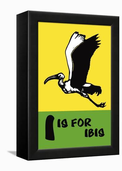 I is for Ibis-Charles Buckles Falls-Framed Stretched Canvas