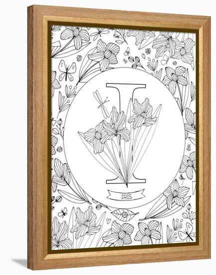 I is for Iris-Heather Rosas-Framed Stretched Canvas