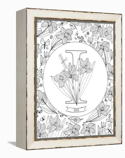 I is for Iris-Heather Rosas-Framed Stretched Canvas