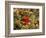 I'Iwi Bird, Haleakala National Park, Maui, Hawaii, USA-Cathy & Gordon Illg-Framed Photographic Print