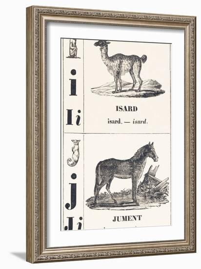 I J: Isard — Jument, 1850 (Engraving)-Louis Simon (1810-1870) Lassalle-Framed Giclee Print