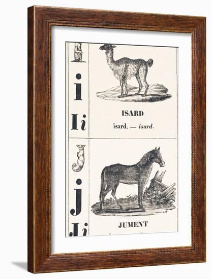 I J: Isard — Jument, 1850 (Engraving)-Louis Simon (1810-1870) Lassalle-Framed Giclee Print