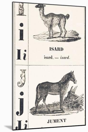 I J: Isard — Jument, 1850 (Engraving)-Louis Simon (1810-1870) Lassalle-Mounted Giclee Print