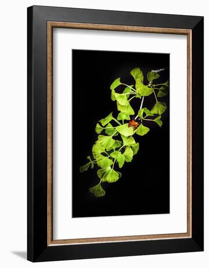 I Juste Wanna Be the On-Philippe Sainte-Laudy-Framed Photographic Print