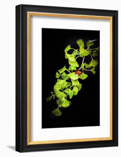 I Juste Wanna Be the On-Philippe Sainte-Laudy-Framed Photographic Print