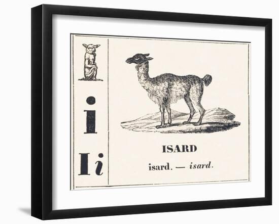 I like Isard, 1850 (Engraving)-Louis Simon (1810-1870) Lassalle-Framed Giclee Print