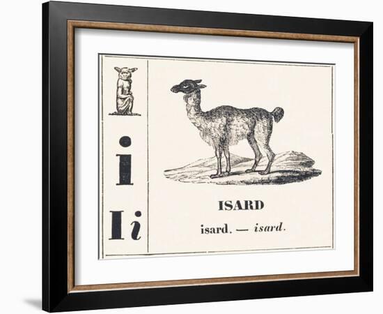 I like Isard, 1850 (Engraving)-Louis Simon (1810-1870) Lassalle-Framed Giclee Print