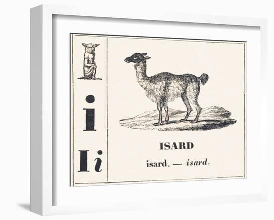 I like Isard, 1850 (Engraving)-Louis Simon (1810-1870) Lassalle-Framed Giclee Print