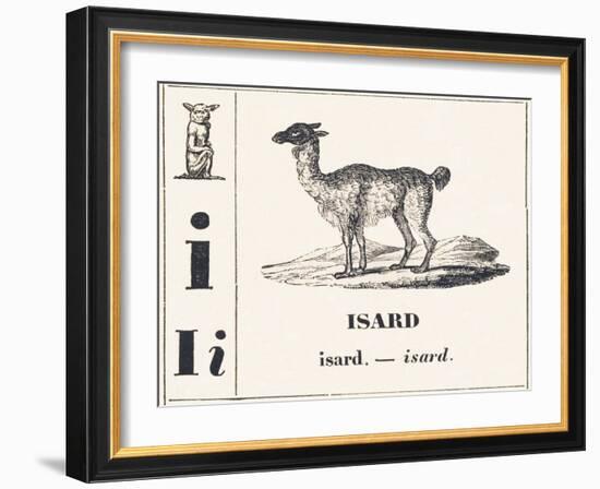 I like Isard, 1850 (Engraving)-Louis Simon (1810-1870) Lassalle-Framed Giclee Print