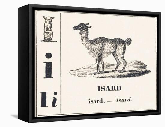 I like Isard, 1850 (Engraving)-Louis Simon (1810-1870) Lassalle-Framed Premier Image Canvas