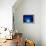 I Love Blue-Philippe Sainte-Laudy-Framed Premier Image Canvas displayed on a wall