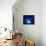 I Love Blue-Philippe Sainte-Laudy-Framed Premier Image Canvas displayed on a wall