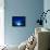 I Love Blue-Philippe Sainte-Laudy-Framed Premier Image Canvas displayed on a wall