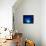 I Love Blue-Philippe Sainte-Laudy-Framed Premier Image Canvas displayed on a wall