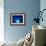 I Love Blue-Philippe Sainte-Laudy-Framed Photographic Print displayed on a wall