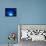 I Love Blue-Philippe Sainte-Laudy-Mounted Photographic Print displayed on a wall