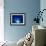 I Love Blue-Philippe Sainte-Laudy-Framed Photographic Print displayed on a wall