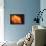 I Love the Sun-Philippe Sainte-Laudy-Framed Premier Image Canvas displayed on a wall