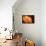 I Love the Sun-Philippe Sainte-Laudy-Framed Premier Image Canvas displayed on a wall