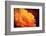 I Love the Sun-Philippe Sainte-Laudy-Framed Photographic Print