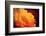 I Love the Sun-Philippe Sainte-Laudy-Framed Photographic Print