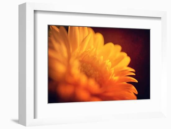 I Love the Sun-Philippe Sainte-Laudy-Framed Photographic Print