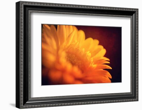 I Love the Sun-Philippe Sainte-Laudy-Framed Photographic Print