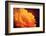 I Love the Sun-Philippe Sainte-Laudy-Framed Photographic Print