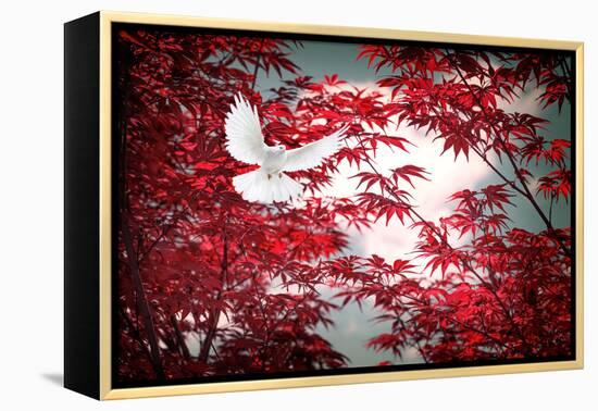 I Love Tomorrow-Philippe Sainte-Laudy-Framed Premier Image Canvas