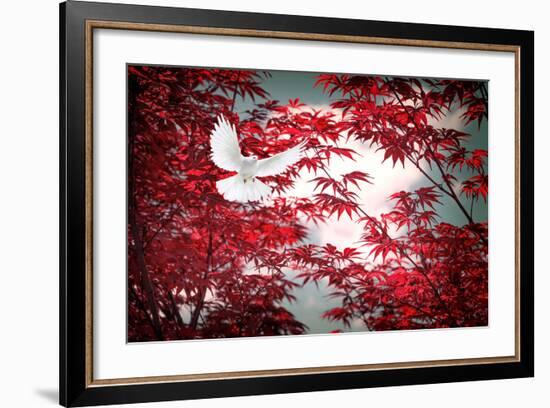 I Love Tomorrow-Philippe Sainte-Laudy-Framed Photographic Print