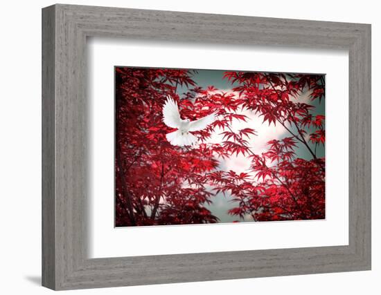 I Love Tomorrow-Philippe Sainte-Laudy-Framed Photographic Print