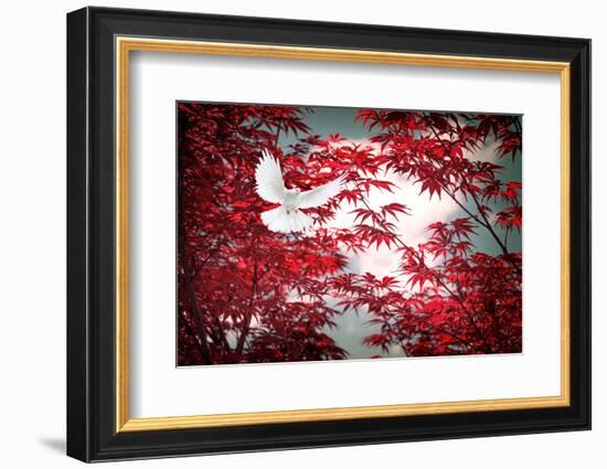 I Love Tomorrow-Philippe Sainte-Laudy-Framed Photographic Print