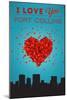 I Love You Fort Collins, Colorado-Lantern Press-Mounted Art Print