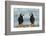 I Love You - I Love You Too-Milan Zygmunt-Framed Photographic Print