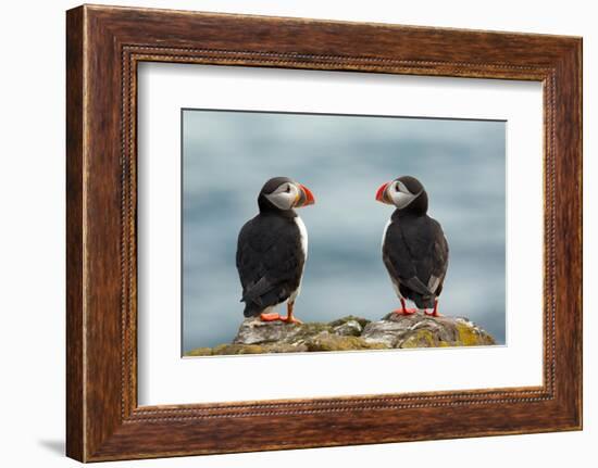 I Love You - I Love You Too-Milan Zygmunt-Framed Photographic Print