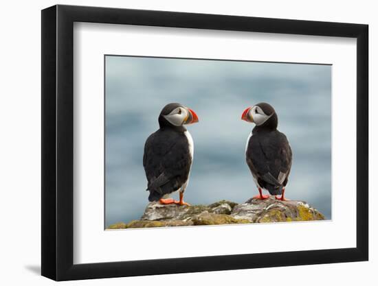 I Love You - I Love You Too-Milan Zygmunt-Framed Photographic Print