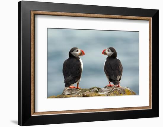 I Love You - I Love You Too-Milan Zygmunt-Framed Photographic Print