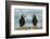 I Love You - I Love You Too-Milan Zygmunt-Framed Photographic Print