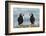 I Love You - I Love You Too-Milan Zygmunt-Framed Photographic Print