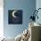 I Love You to the Moon 2-Kimberly Glover-Giclee Print displayed on a wall