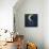 I Love You to the Moon 2-Kimberly Glover-Mounted Premium Giclee Print displayed on a wall